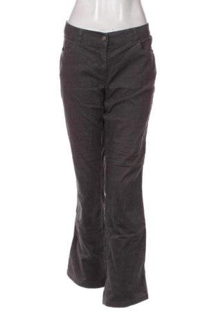 Pantaloni de velvet de femei Blue Motion, Mărime L, Culoare Gri, Preț 19,08 Lei