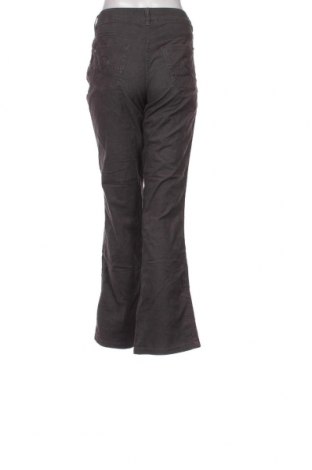 Pantaloni de velvet de femei Blue Motion, Mărime L, Culoare Gri, Preț 19,08 Lei
