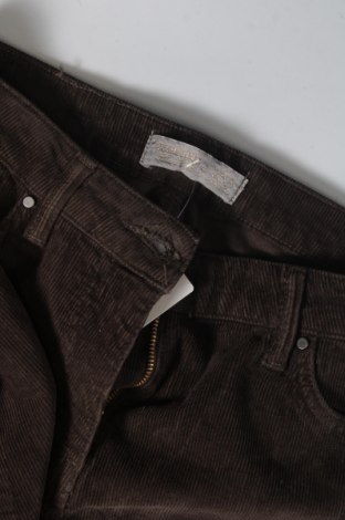 Damen Cordhose Carrera Jeans, Größe XS, Farbe Braun, Preis € 2,42