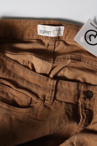 Pantaloni de velvet de femei Esprit, Mărime XL, Culoare Bej, Preț 29,67 Lei