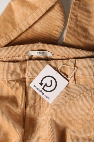 Pantaloni de velvet de femei Esprit, Mărime S, Culoare Bej, Preț 70,36 Lei