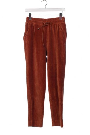 Pantaloni de velvet de femei Etam, Mărime XS, Culoare Maro, Preț 30,59 Lei
