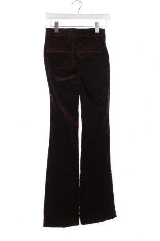 Γυναικείο κοτλέ παντελόνι Massimo Dutti, Μέγεθος XS, Χρώμα Καφέ, Τιμή 24,84 €