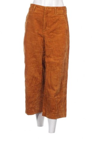 Γυναικείο κοτλέ παντελόνι Uniqlo, Μέγεθος S, Χρώμα  Μπέζ, Τιμή 10,14 €
