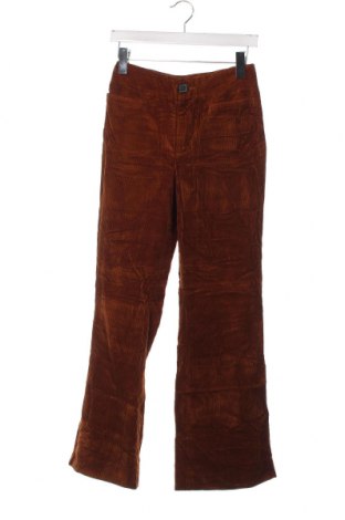 Pantaloni de velvet de femei Zara, Mărime XS, Culoare Maro, Preț 12,43 Lei