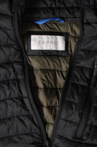 Γυναικείο γιλέκο Esprit, Μέγεθος M, Χρώμα Μαύρο, Τιμή 32,78 €