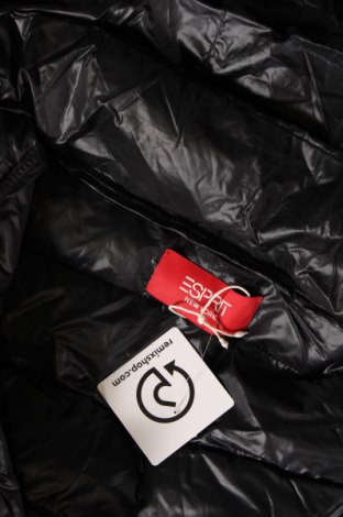 Damenweste Esprit, Größe XL, Farbe Schwarz, Preis 61,86 €
