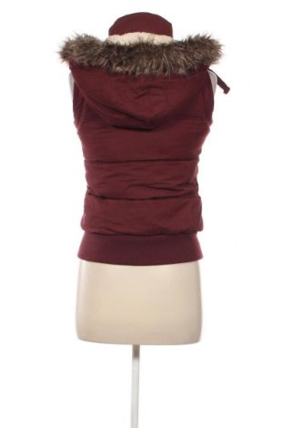 Γυναικείο γιλέκο New Look, Μέγεθος XS, Χρώμα Κόκκινο, Τιμή 19,79 €