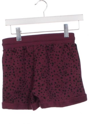 Damen Shorts Buffalo, Größe XXS, Farbe Mehrfarbig, Preis € 6,75