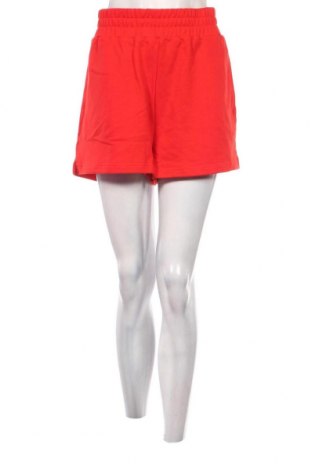 Γυναικείο κοντό παντελόνι Even&Odd, Μέγεθος XL, Χρώμα Κόκκινο, Τιμή 6,71 €