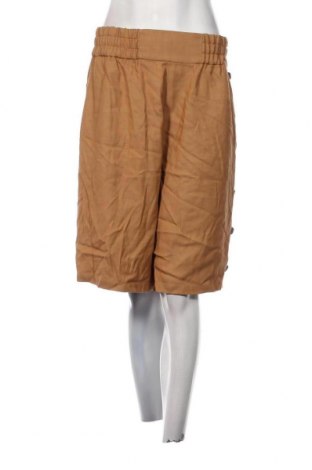 Γυναικείο κοντό παντελόνι Just Cavalli, Μέγεθος XXL, Χρώμα Καφέ, Τιμή 51,03 €