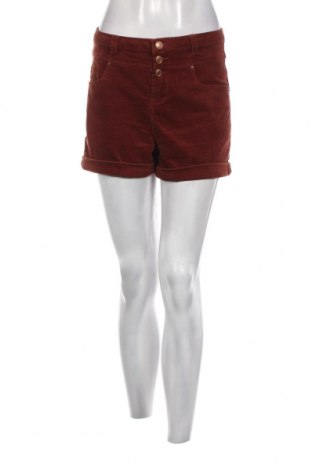 Damen Shorts New Look, Größe S, Farbe Braun, Preis € 4,96