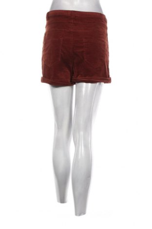 Γυναικείο κοντό παντελόνι New Look, Μέγεθος S, Χρώμα Καφέ, Τιμή 5,25 €