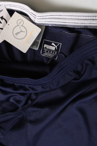 Γυναικείο κοντό παντελόνι PUMA, Μέγεθος L, Χρώμα Μπλέ, Τιμή 6,75 €