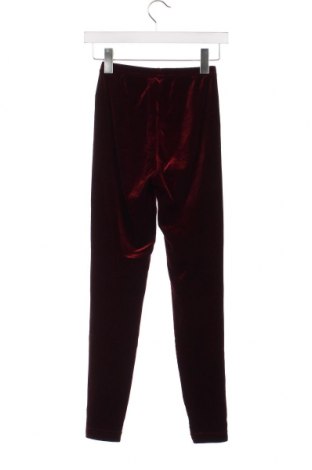 Damen Leggings American Apparel, Größe S, Farbe Rot, Preis 2,82 €