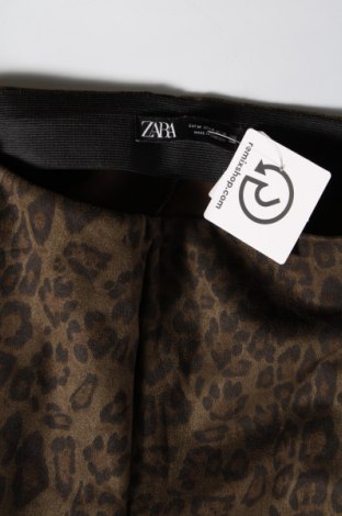 Γυναικείο κολάν Zara, Μέγεθος M, Χρώμα Πράσινο, Τιμή 2,87 €