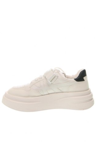 Γυναικεία παπούτσια Ash, Μέγεθος 40, Χρώμα Λευκό, Τιμή 81,96 €