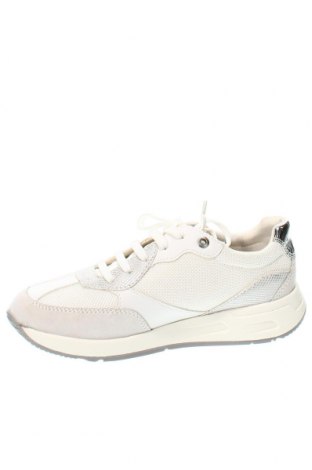 Dámske topánky  Geox, Veľkosť 36, Farba Viacfarebná, Cena  62,78 €