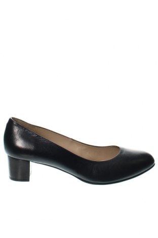 Γυναικεία παπούτσια Nelson, Μέγεθος 42, Χρώμα Μπλέ, Τιμή 39,69 €