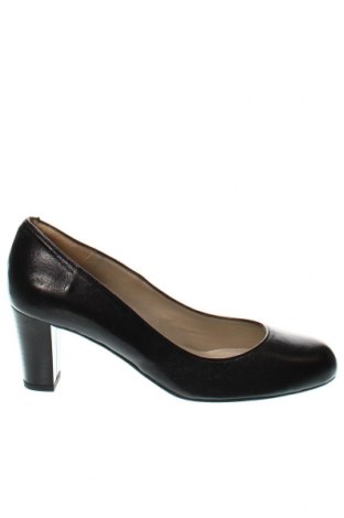 Дамски обувки Nelson, Размер 36, Цвят Черен, Цена 77,00 лв.