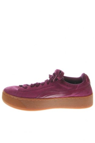 Γυναικεία παπούτσια PUMA, Μέγεθος 36, Χρώμα Βιολετί, Τιμή 33,03 €