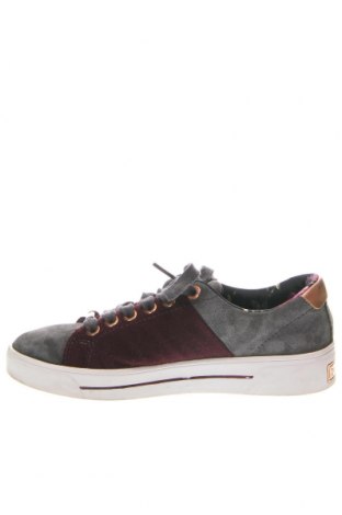 Dámské boty  Ted Baker, Velikost 35, Barva Vícebarevné, Cena  844,00 Kč