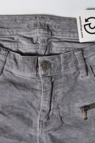 Дамски панталон Blue Fire Co, Размер M, Цвят Сив, Цена 5,22 лв.
