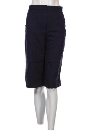 Pantaloni de femei COS, Mărime XS, Culoare Albastru, Preț 134,21 Lei