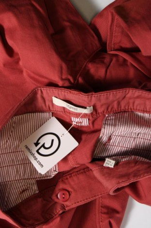 Дамски панталон Esprit, Размер M, Цвят Пепел от рози, Цена 21,39 лв.