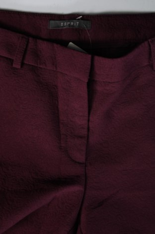 Damenhose Esprit, Größe L, Farbe Lila, Preis € 28,53