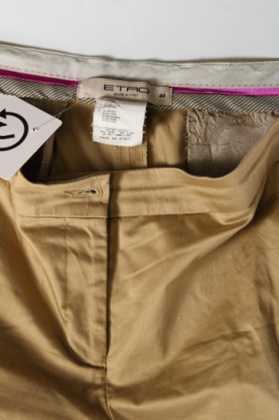 Γυναικείο παντελόνι Etro, Μέγεθος L, Χρώμα Σάπιο μήλο, Τιμή 36,48 €