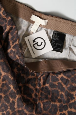 Дамски панталон H&M, Размер XL, Цвят Кафяв, Цена 10,15 лв.
