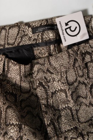 Γυναικείο παντελόνι Zara, Μέγεθος M, Χρώμα Πολύχρωμο, Τιμή 2,17 €
