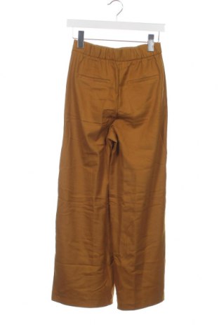 Damenhose Zara Trafaluc, Größe XS, Farbe Gelb, Preis € 18,79