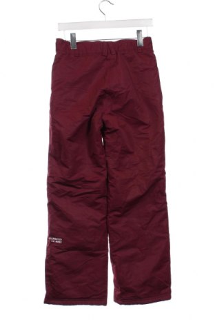 Γυναίκειο παντελόνι για χειμερινά σπορ Catmandoo, Μέγεθος XS, Χρώμα Κόκκινο, Τιμή 21,34 €