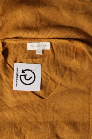 Γυναικείο πουλόβερ Bluoltre, Μέγεθος S, Χρώμα Κίτρινο, Τιμή 4,84 €