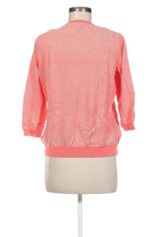 Γυναικείο πουλόβερ Peter Hahn, Μέγεθος XL, Χρώμα Πορτοκαλί, Τιμή 18,79 €