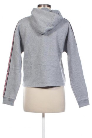 Damen Sweatshirt Creeks, Größe M, Farbe Grau, Preis € 7,87