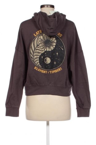 Damen Sweatshirt Element, Größe S, Farbe Grau, Preis 16,78 €