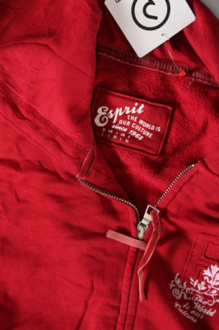 Damen Sweatshirt Esprit, Größe L, Farbe Rot, Preis € 16,26