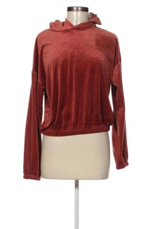 Damen Sweatshirt Hunkemoller, Größe S, Farbe Braun, Preis 5,71 €