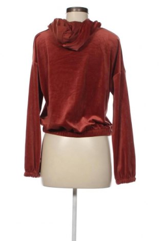 Damen Sweatshirt Hunkemoller, Größe S, Farbe Braun, Preis 4,28 €