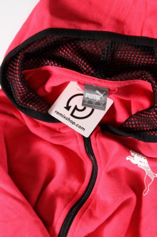 Damen Sweatshirt PUMA, Größe M, Farbe Rosa, Preis € 33,40
