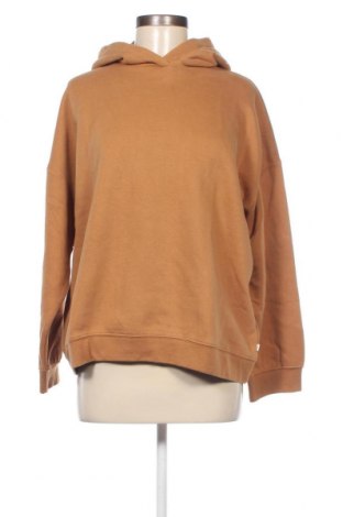 Damen Sweatshirt Tom Tailor, Größe XL, Farbe Braun, Preis € 13,90