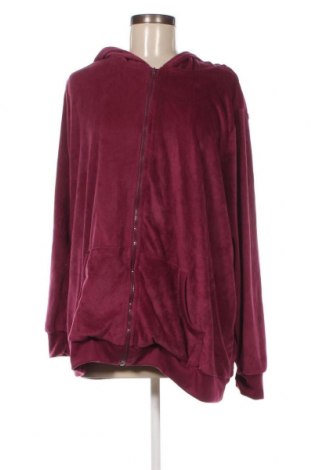 Damen Sweatshirt Woman Within, Größe XXL, Farbe Rosa, Preis 20,18 €