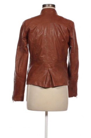 Dámská kožená bunda  Massimo Dutti, Velikost S, Barva Hnědá, Cena  2 630,00 Kč