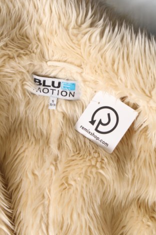 Γυναικείο παλτό Blue Motion, Μέγεθος S, Χρώμα Εκρού, Τιμή 9,93 €