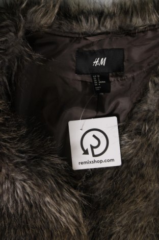 Női kabát H&M, Méret S, Szín Sokszínű, Ár 13 698 Ft