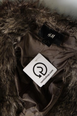 Γυναικείο παλτό H&M, Μέγεθος L, Χρώμα Πολύχρωμο, Τιμή 21,84 €