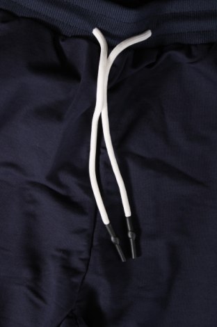 Damen Sporthose, Größe L, Farbe Blau, Preis 11,86 €